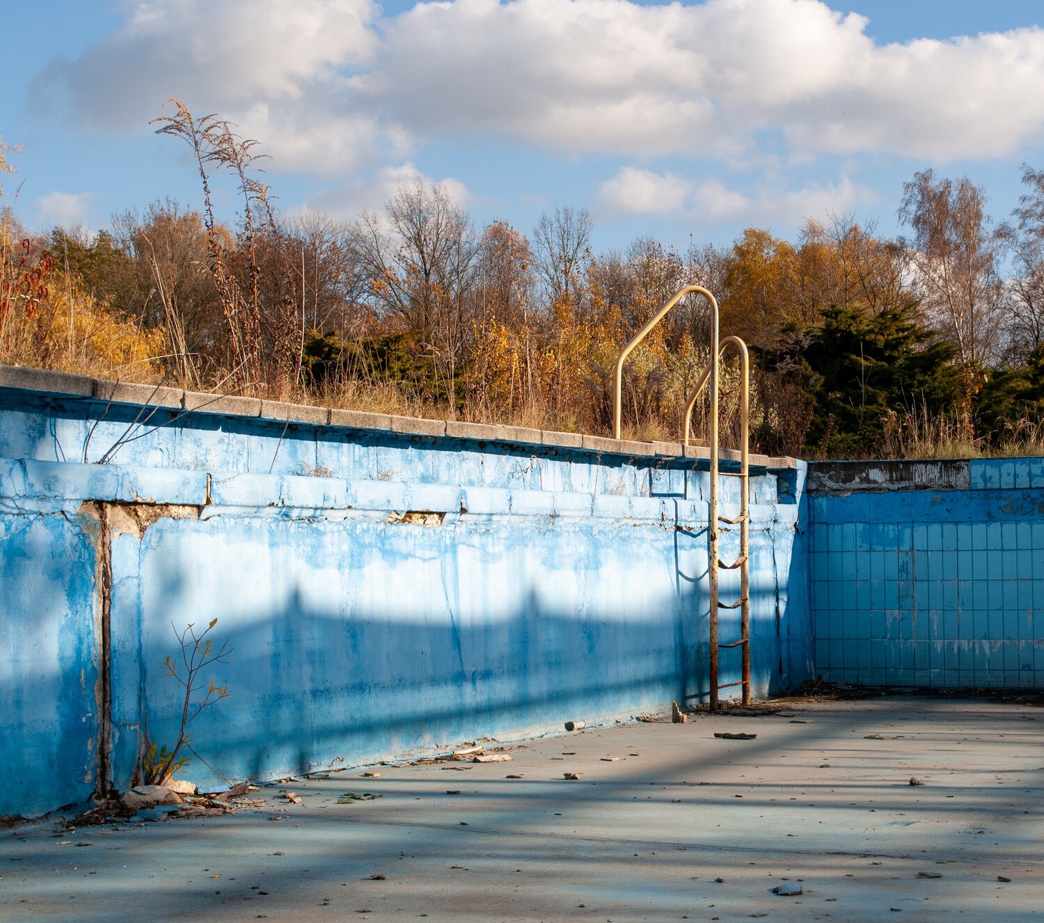 Bassin de parc aquatique abandonnée, un soir d'automne. L'ensemble est frappé d'une lumière descendante, marquant les ombres d'une clôture proche. Les plantes, jaunies par la saison, poussent tant dans le bassin qu'en arrière-plan